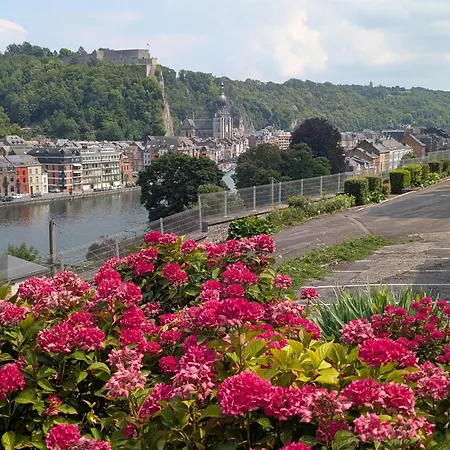 Splendid Palace - Vue Meuse & Citadelle Dinant